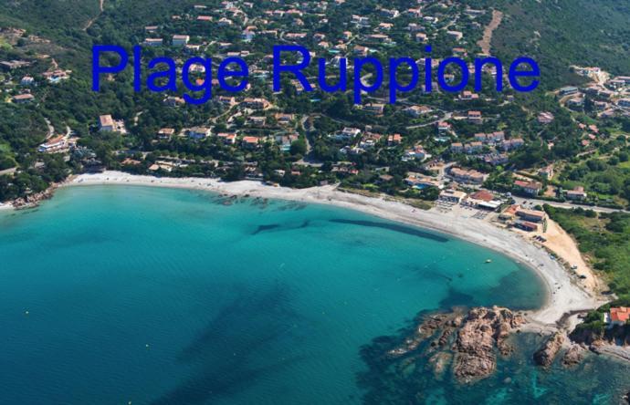 Vue Mer Panoramique Plage 50M Porticcio Corse Porticcio (Corsica) Exterior foto