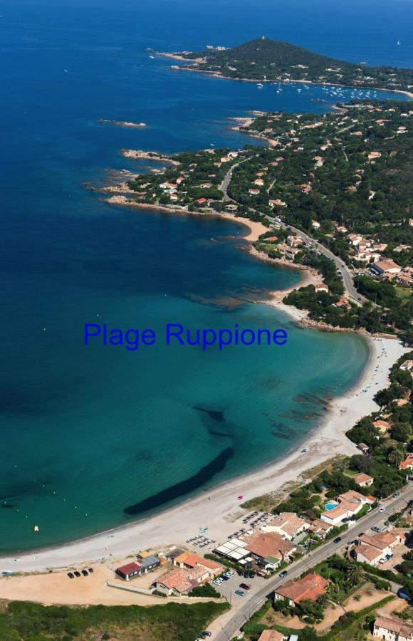 Vue Mer Panoramique Plage 50M Porticcio Corse Porticcio (Corsica) Exterior foto